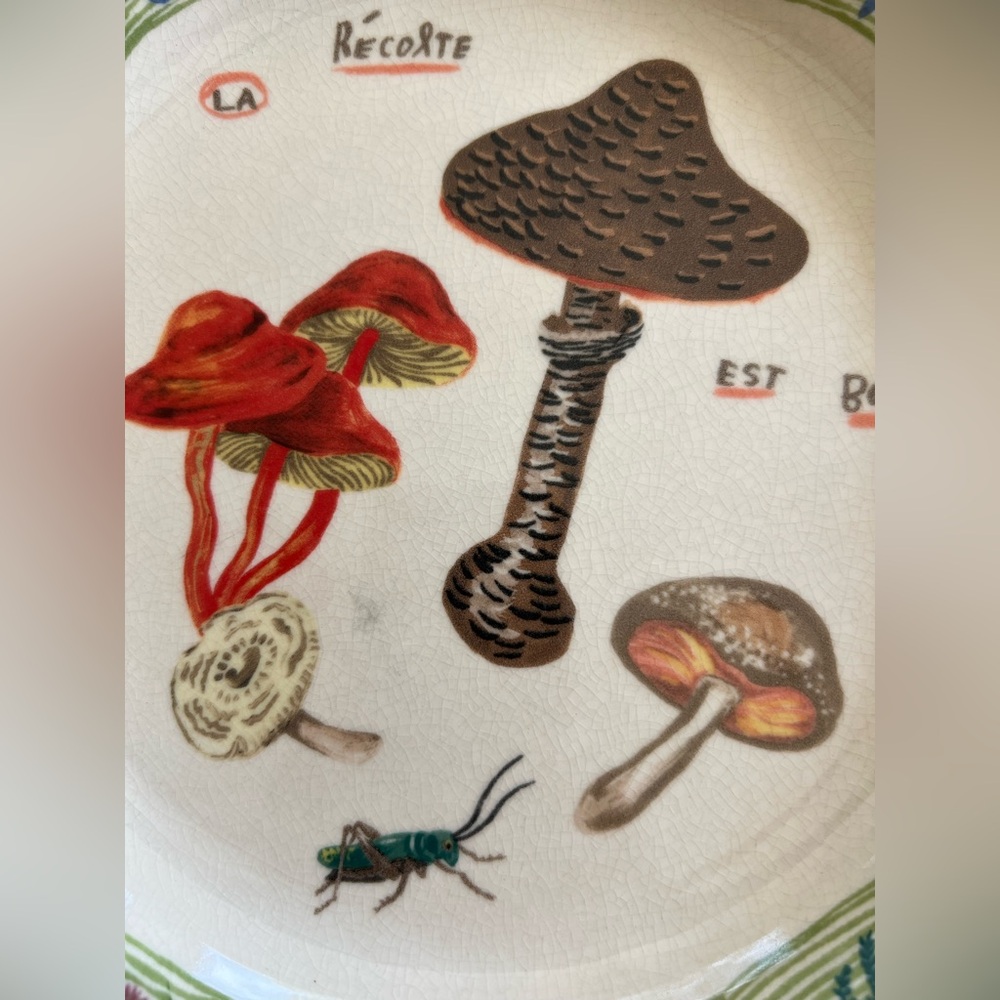 Anthropologie Mushrooms Cricket Dinner Plate rare discontinued nathalie ete euc - Picture 5 of 6